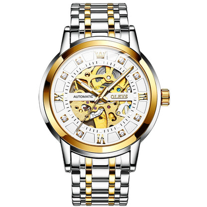 Waterproof Skeleton Stainless Steel Automatic Mechanical Watch Male Wrist Watch