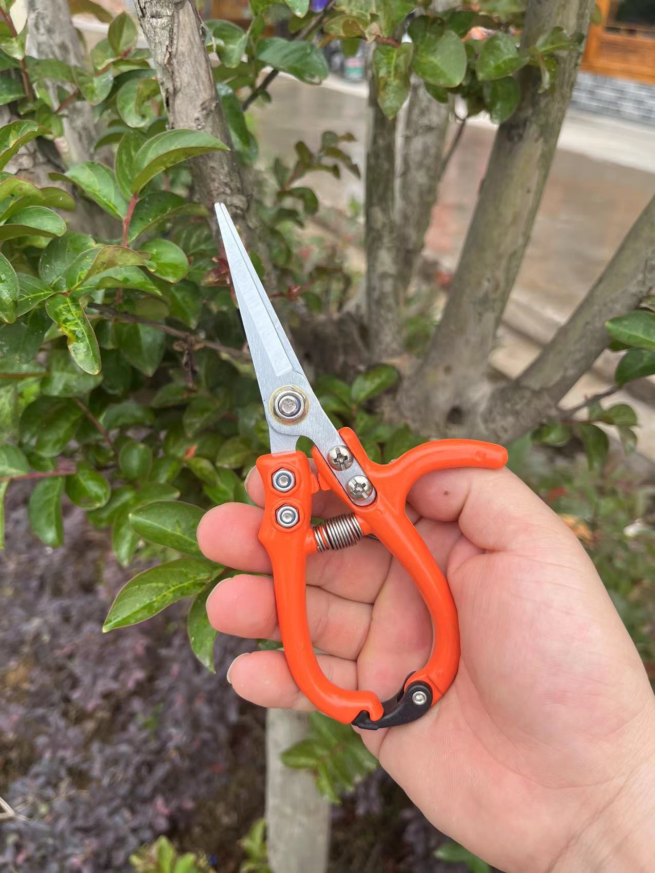 Multifunctional Garden Scissors Pruning Shears Manual With Safety Buckle Stainless Steel