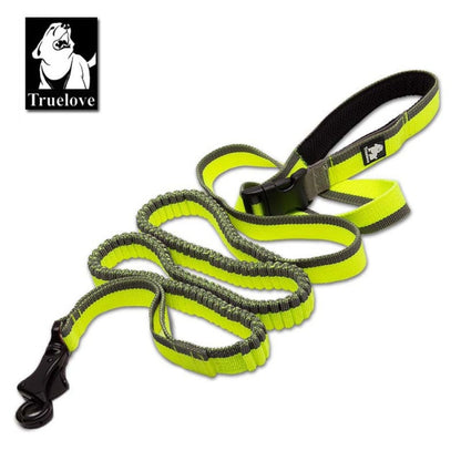 Truelove Dog Running Bungee Leash