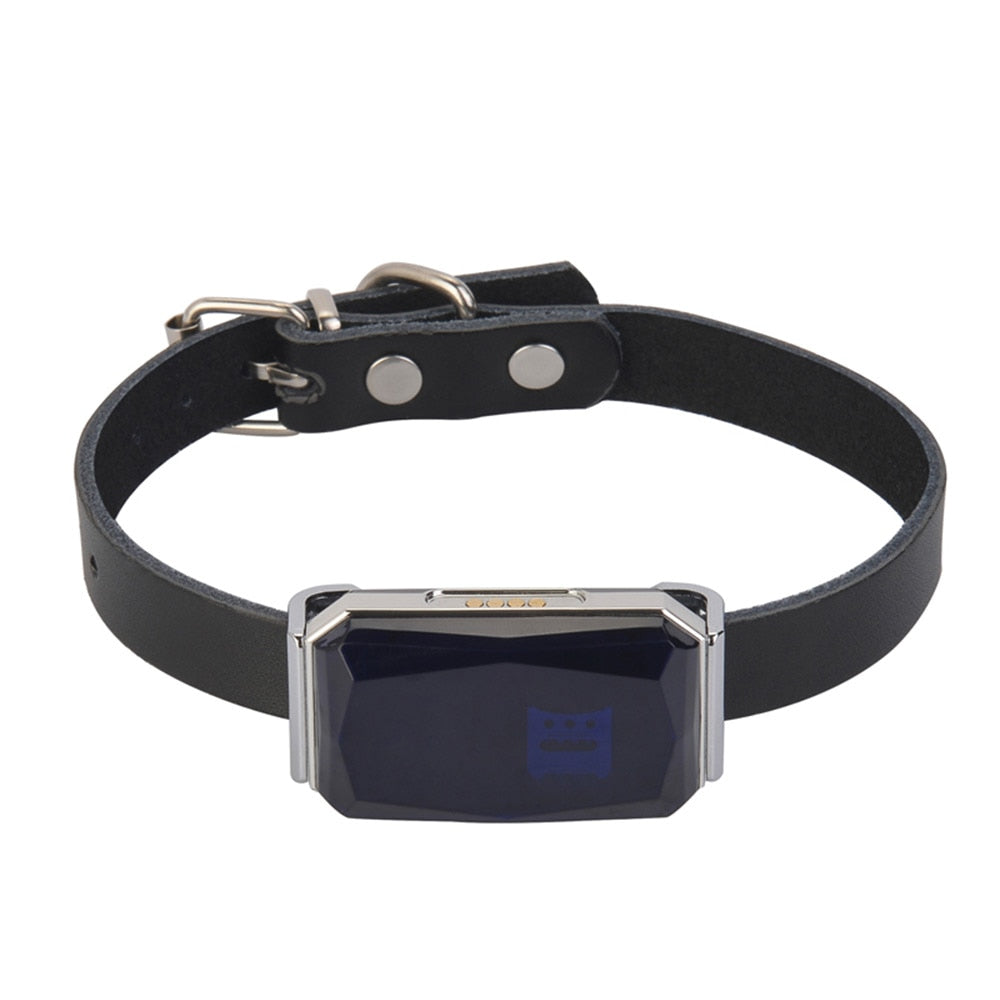 Pet Smart GPS Tracker Collar