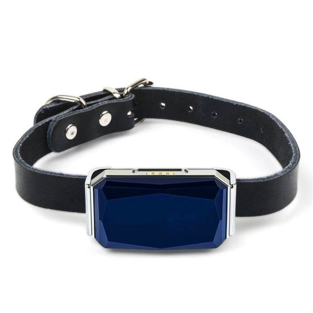 Pet Smart GPS Tracker Collar