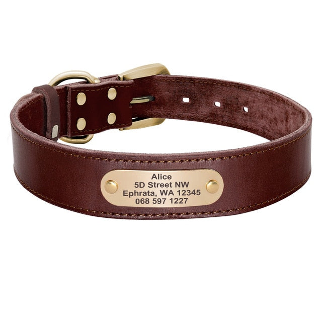 Custom Leather Dog Collar Leash Set Personalized Pet