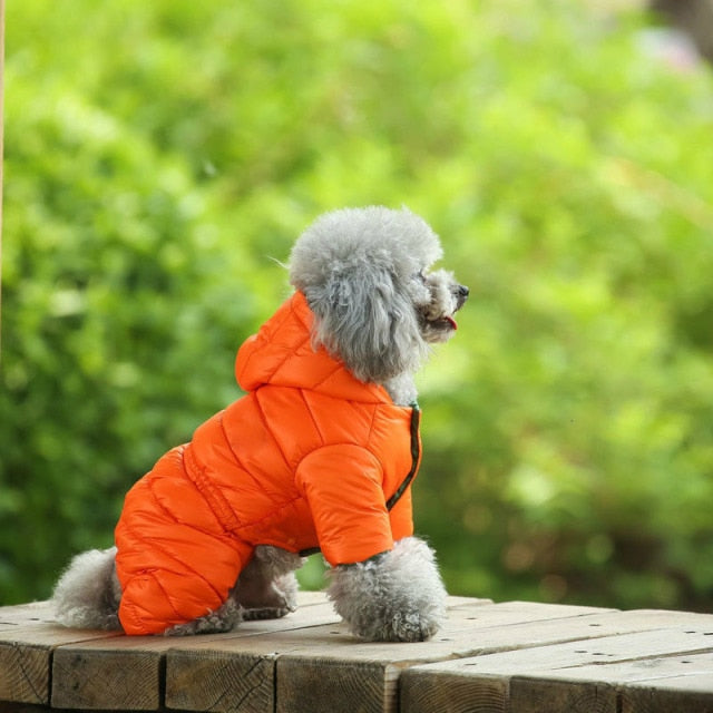 Winter Warm Down Dog Jacket Pet