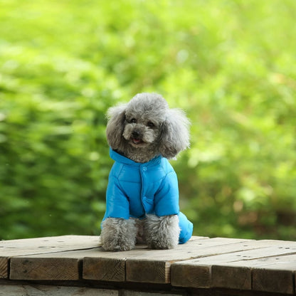 Winter Warm Down Dog Jacket Pet