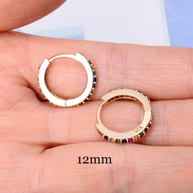 Rainbow Little Huggins Hoop Earrings