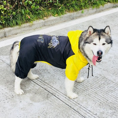 Dog Raincoat Owner