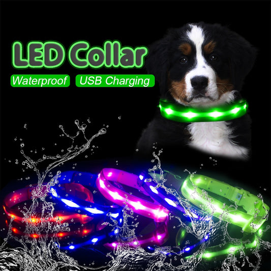 Waterproof LED Dog Collar Christmas USB Charging Collar