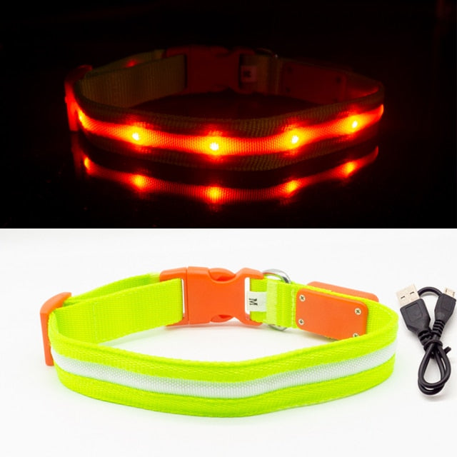 Waterproof LED Dog Collar Christmas USB Charging Collar