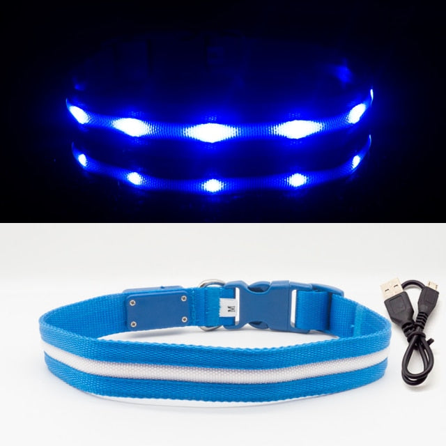 Waterproof LED Dog Collar Christmas USB Charging Collar