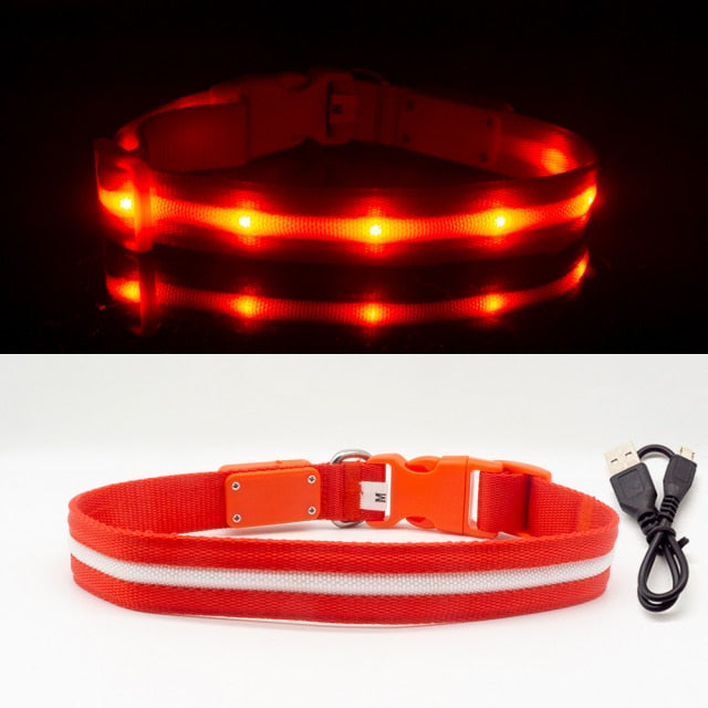 Waterproof LED Dog Collar Christmas USB Charging Collar