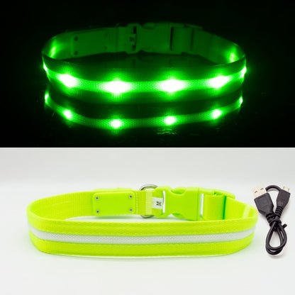 Waterproof LED Dog Collar Christmas USB Charging Collar