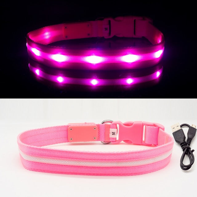 Waterproof LED Dog Collar Christmas USB Charging Collar