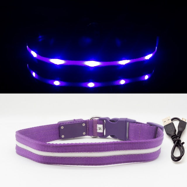 Waterproof LED Dog Collar Christmas USB Charging Collar