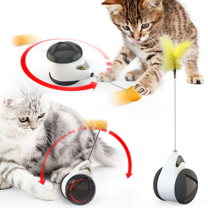 Tumbler Swing Toys for Cat