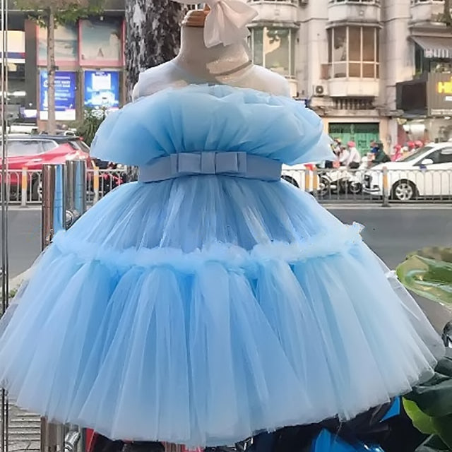 Baby Girl Tutu Party Gown Flower Girls