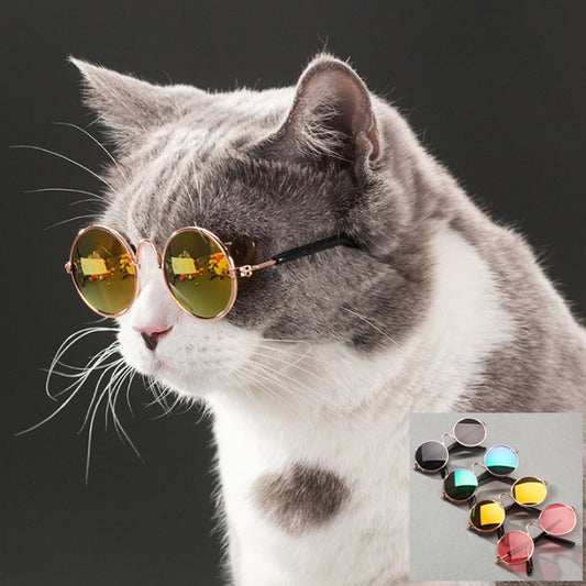 Pet Glasses Products