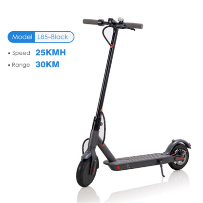 Electric Scooter Adult