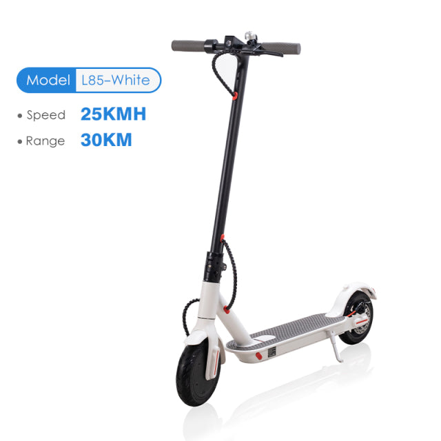 Electric Scooter Adult