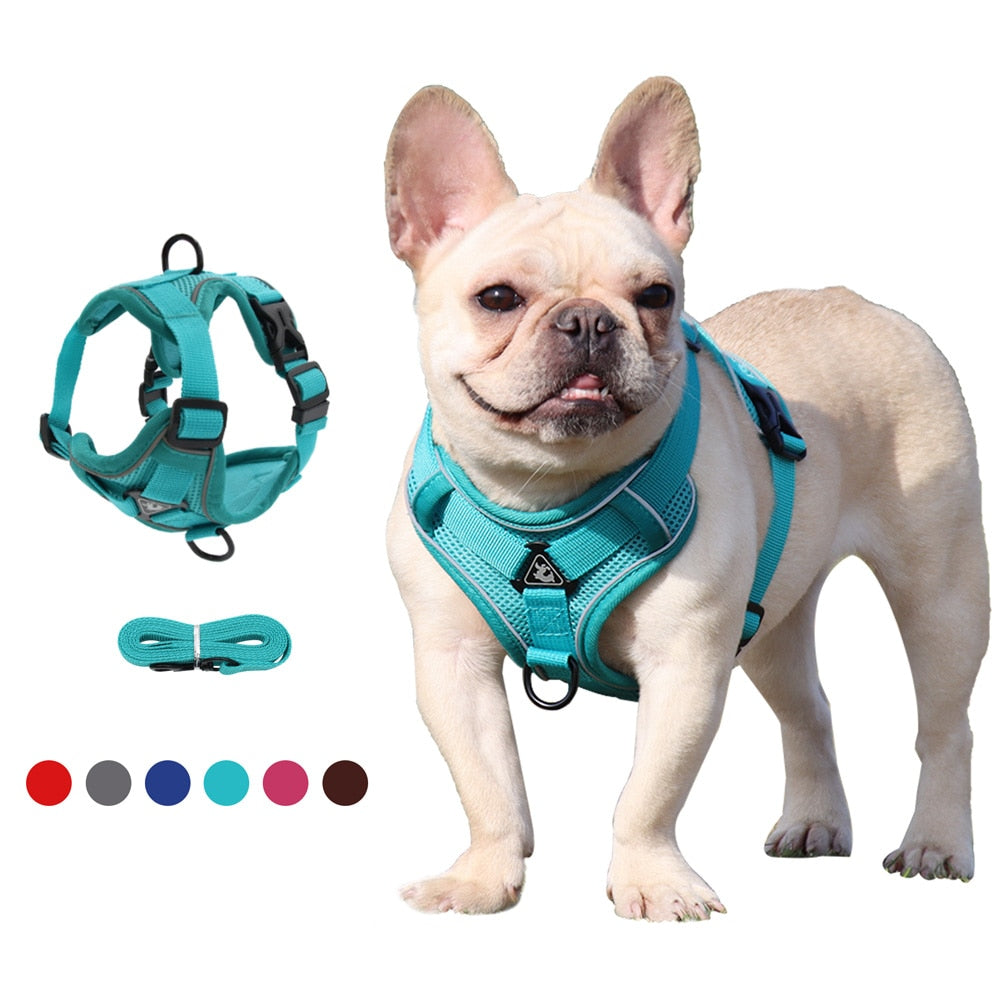 Dog Harness with 150 cm Leash Set