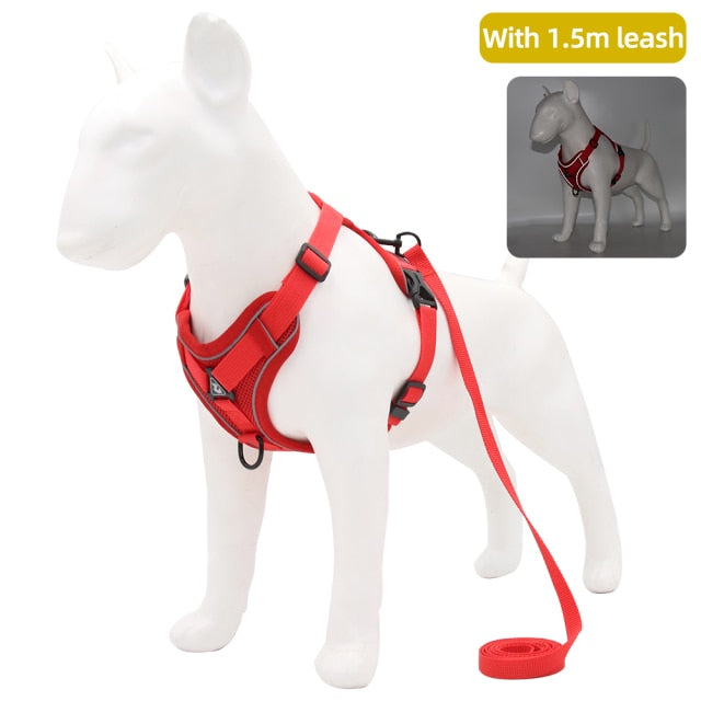 Dog Harness with 150 cm Leash Set