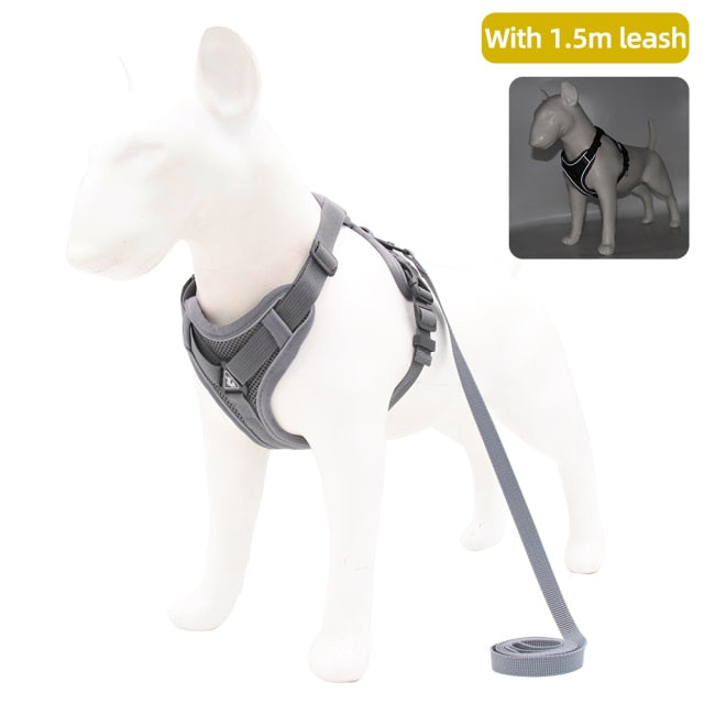 Dog Harness with 150 cm Leash Set