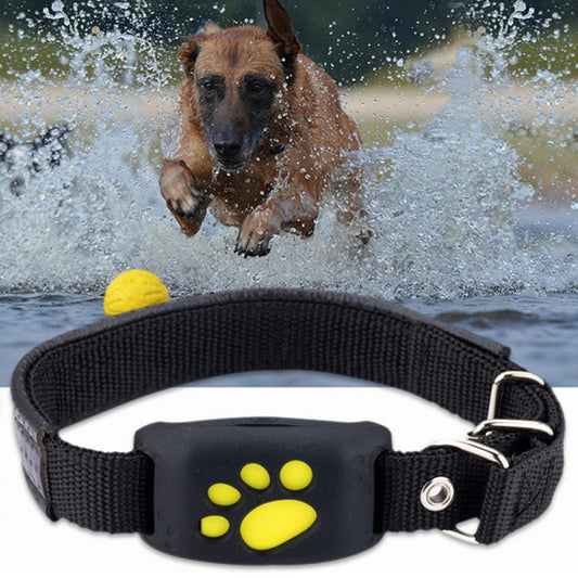 Dogs Cats GPS Tracking