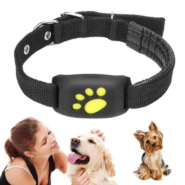 Dogs Cats GPS Tracking