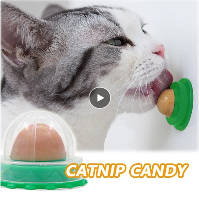 Nutrition Cat Catnip Ball Dust Cover Round