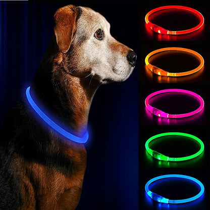 Led  Dog Collar Pet Dog Night Luminous Charge