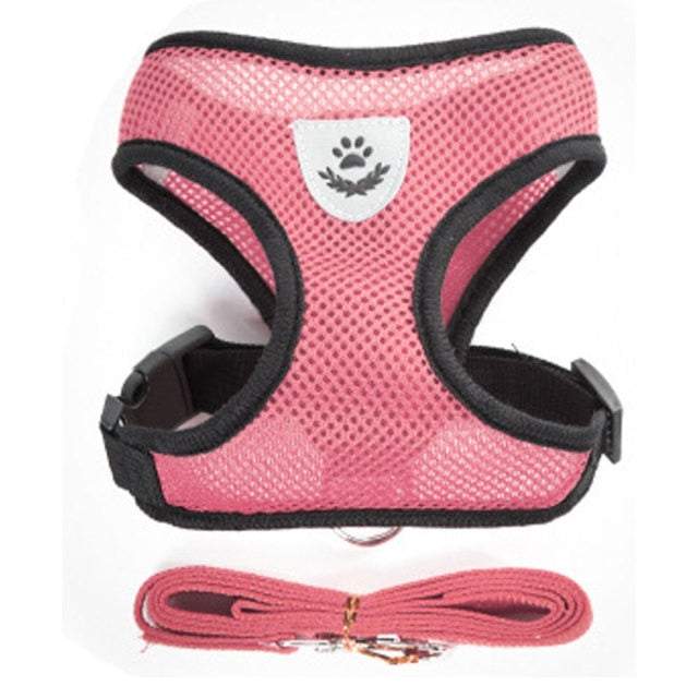 Mesh Cat Harness And Leash Breathable Kitten Cat