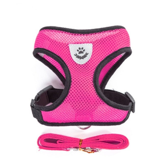 Mesh Cat Harness And Leash Breathable Kitten Cat