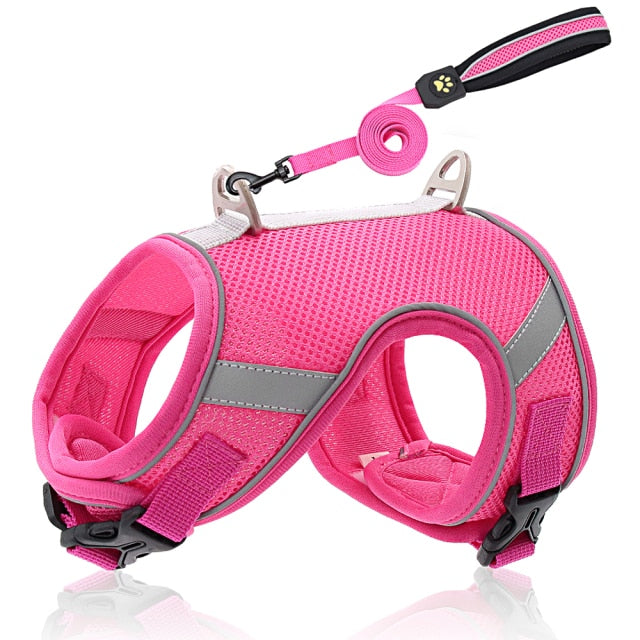 Breathable Mesh Cat Harness with Leash Reflective Pet Dog