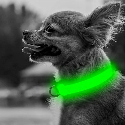 Adjustable LED Dog Collar Glowing Anti-lost