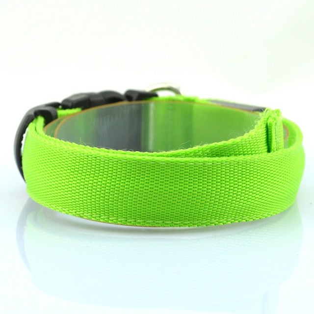 Adjustable LED Dog Collar Glowing Anti-lost