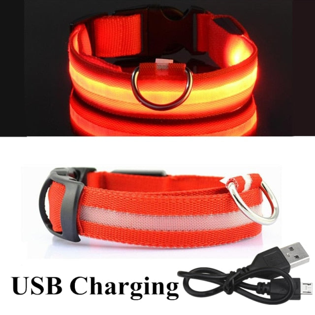 LED Glowing Dog Collar Rechargeable Luminous Collar