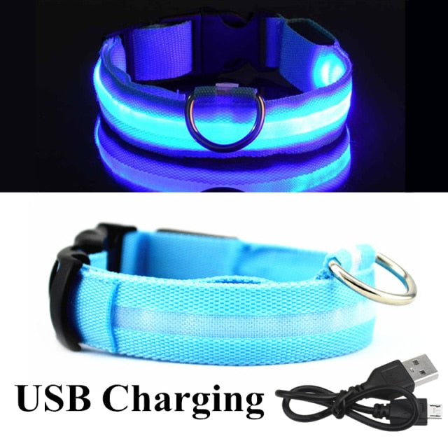 LED Glowing Dog Collar Rechargeable Luminous Collar