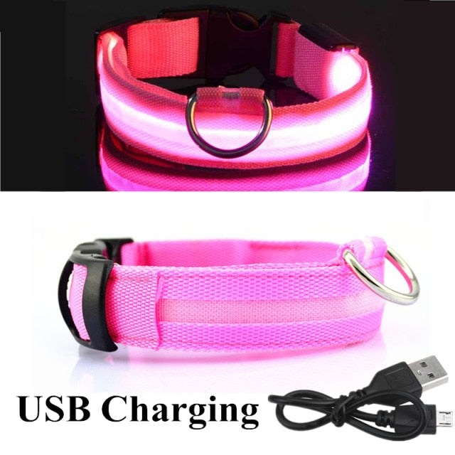 LED Glowing Dog Collar Rechargeable Luminous Collar