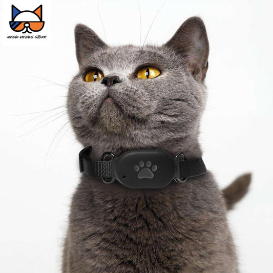 Pet GPS Tracking Locator Collar Low Power