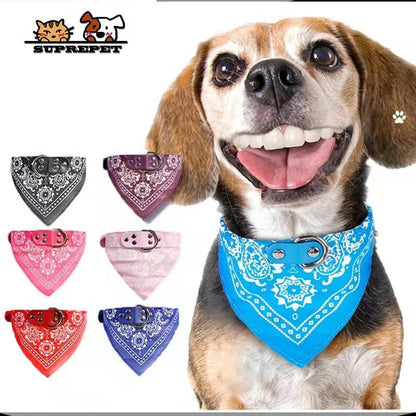 Cute Adjustable Small Dog Collar