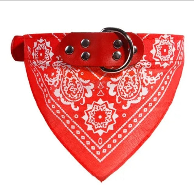 Cute Adjustable Small Dog Collar