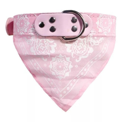 Cute Adjustable Small Dog Collar