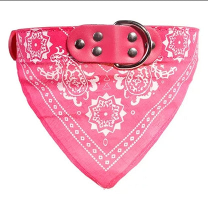 Cute Adjustable Small Dog Collar