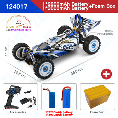 Car Brushless  Electric High Speed