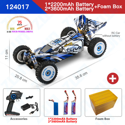 Car Brushless  Electric High Speed