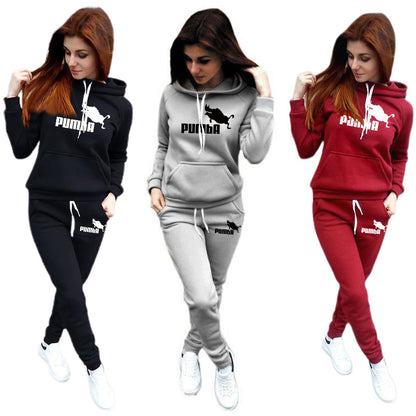 2 Piece Sets Outfits Hoodies Trouser Suit