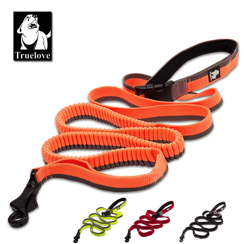 Truelove Dog Running Bungee Leash